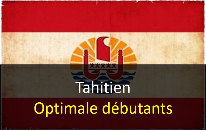 TAH_Niveau_1_Optimale
