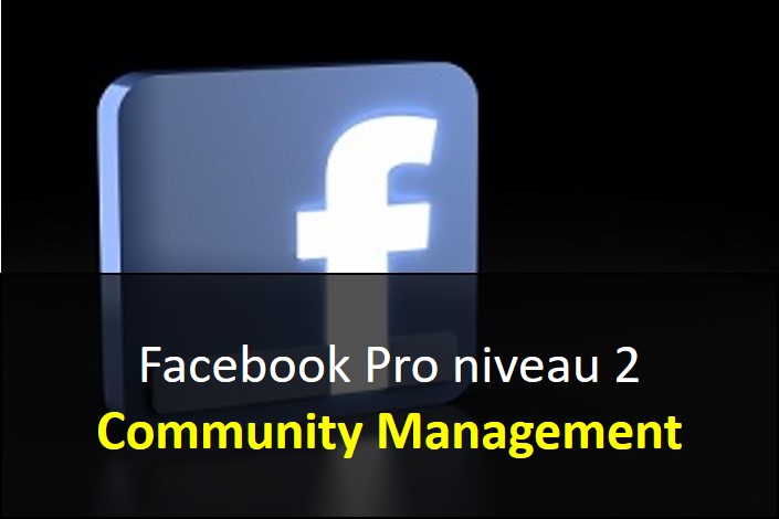 NTIC FacebookPro niveau 2